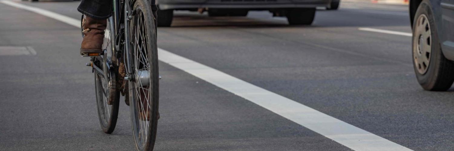 dia mundial sin coche