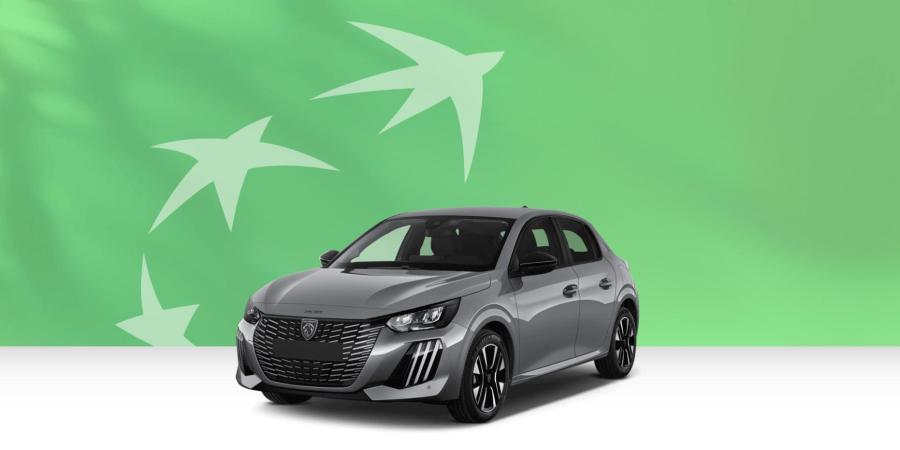 Renting Peugeot 208