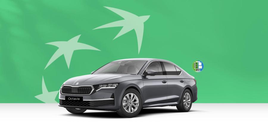 RENTING SKODA OCTAVIA